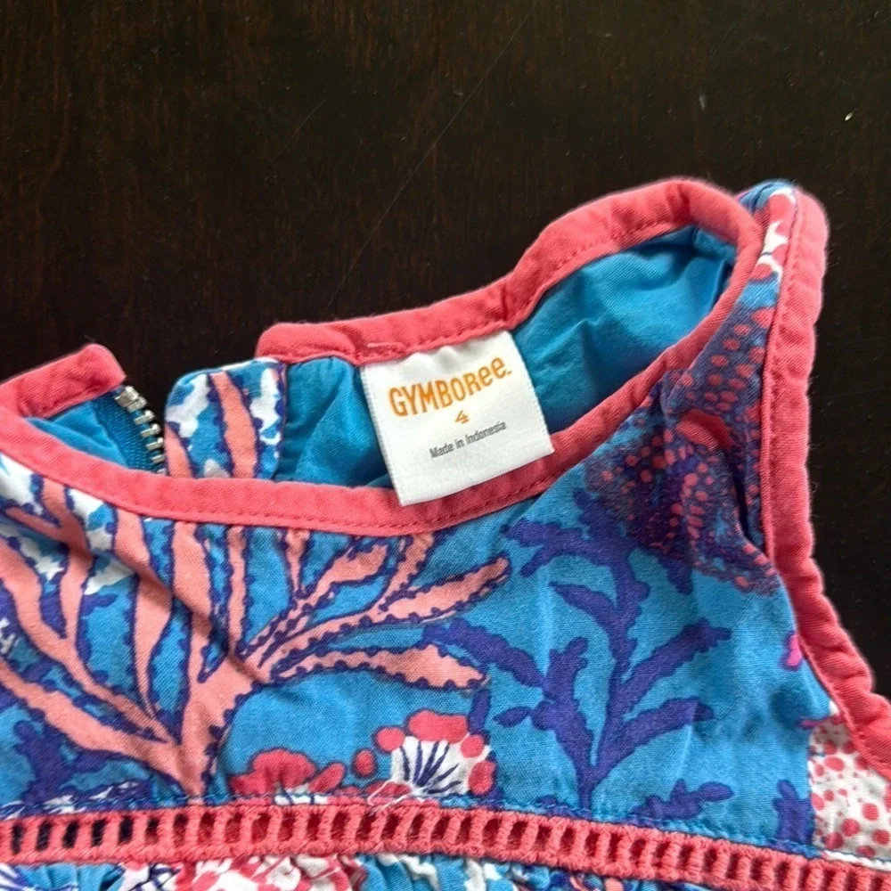 Gymboree Blue and Pink Kids Dress